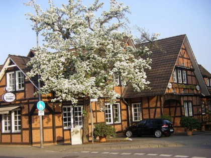 Foto: B&amp;auml;hre